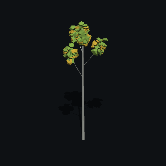 A low poly aspen tree made with PolyMason