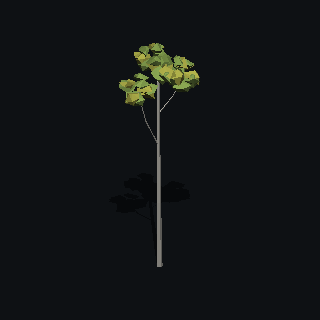 A low poly silver birch tree made with PolyMason
