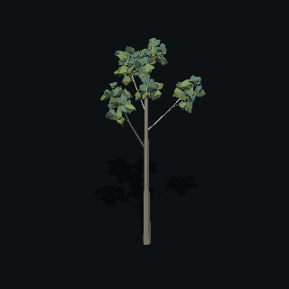 A low poly eucalyptus tree made with PolyMason